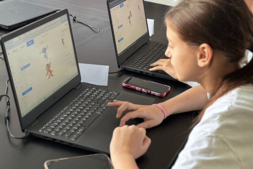 prograamre incepatori