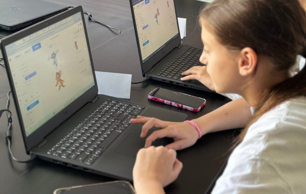 prograamre incepatori